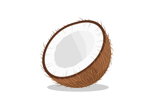 Coconut Half with White Flesh and Brown Husk.