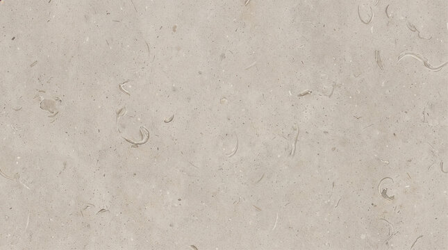 French Limestone Texture with Subtle Fossil Traces 