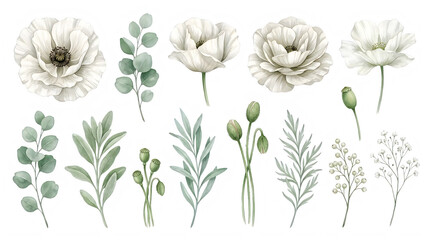 Naklejka premium Watercolor floral elements and leaves
