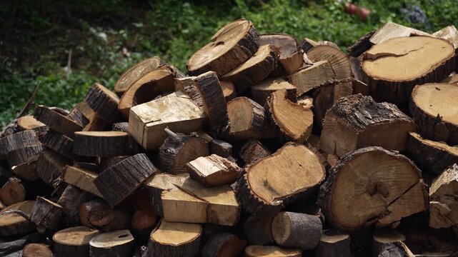 A pile of cut firewood logs stacked together, highlighting the natural wood grain, bark texture, and rustic appearance. Perfect for themes related to biomass energy, heating fuel, woodworking