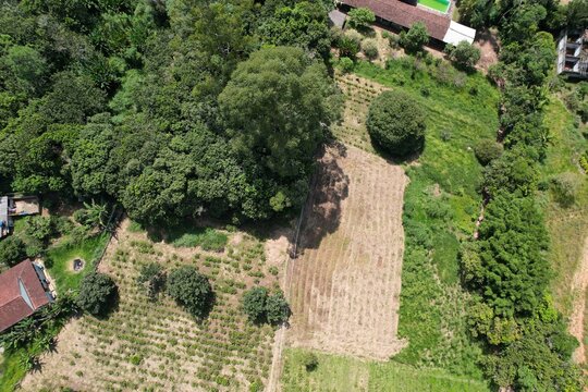 Planta&ccedil;&otilde;es, reserva legal e mata ciliar de uma APP em uma fazenda, em imagem a&eacute;rea obtida com drone