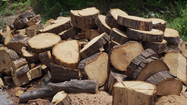 A pile of cut firewood logs stacked together, highlighting the natural wood grain, bark texture, and rustic appearance. Perfect for themes related to biomass energy, heating fuel, woodworking