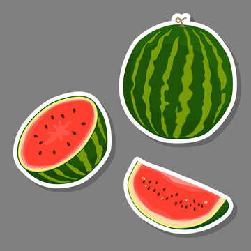 Fruit theme from set juicy delicious watermelon of various sizes