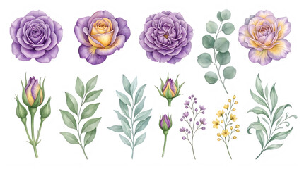 Fototapeta premium Purple and yellow flowers set with green leaves