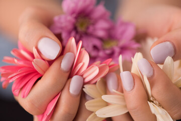 care for sensuality woman hands. beauty delicate woman hands with manicure holding flower close up.  Woman's hands with long white nails holding daisy. © Luis