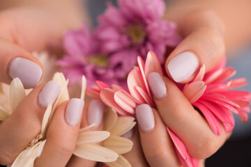 care for sensuality woman hands. beauty delicate woman hands with manicure holding flower close up.  Woman's hands with long white nails holding daisy. © Luis