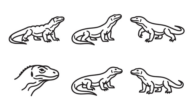 Hand drawn komodo dragon lizard sketches isolated vector icons with wildlife collection predator creature standing crawling portrait isolated carnivore reptilian environment