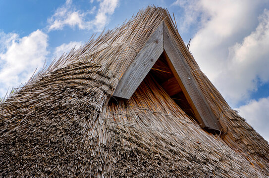Traditional Thatched Roof House with Moss Covered Reed Roof