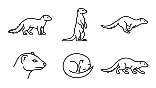Set of meerkat behavior line art icons isolated drawings with mongoose wildlife creature behavior standing sleeping collection illustration monochrome minimalist stylized wilderness