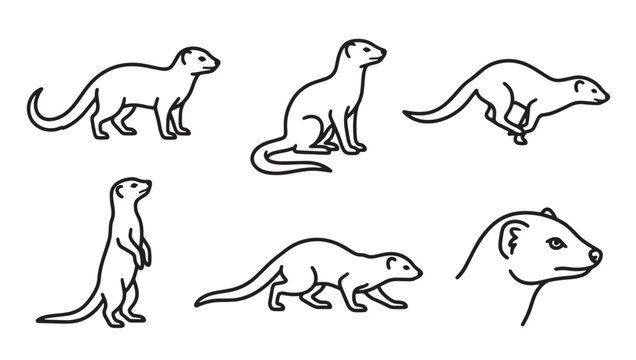 Collection of meerkat action poses line art icons set with mongoose wildlife creature behavior standing watching collection illustration monochrome minimalist stylized wilderness portrait