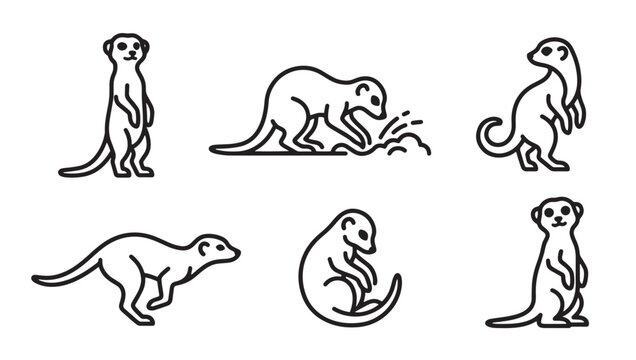 Line art collection of meerkat poses for wildlife concept design with suricate mongoose wildlife collection standing watching creature isolated behavior observation portrait