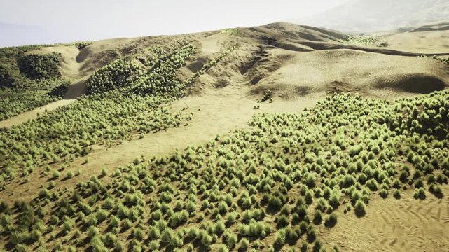Drone perspective over dense shrub plain patchwork clusters used for ecology monitoring, textured terrain, sharp contrasts, conservation focus.