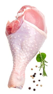 Raw Turkey Leg.