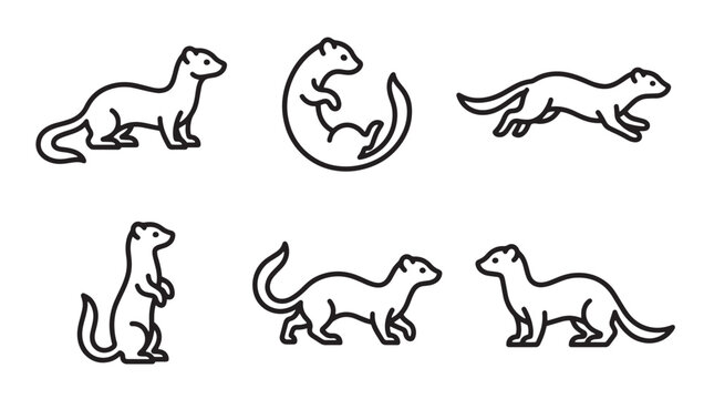 Set of cute weasel animals in various poses line art with wildlife mustelid illustration isolated monochrome movement collection creature predator standing behavior detailed mammalian