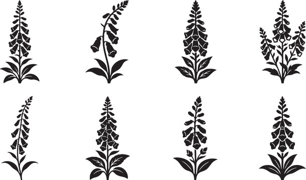 Tall elegant foxglove and lupine spire stalks graphics