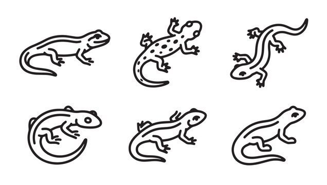 Hand drawn outline salamander icons collection with salamander amphibian wildlife creature collection illustration crawling isolated terrestrial