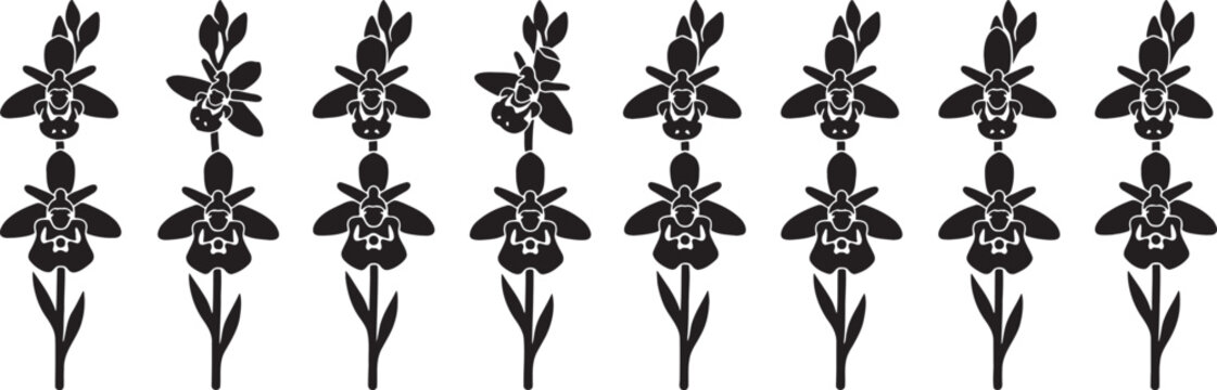 Symmetrical rows of unique wild orchids and snapdragons