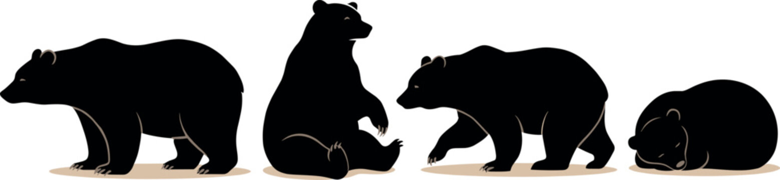 Minimalist vector set of calm black bear silhouettes standing, sitting, walking and sleeping on a clean white background.
