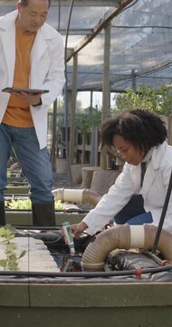 Vertical video: During check diverse staff in labcoats probing reservoir with tablet in greenhouse
