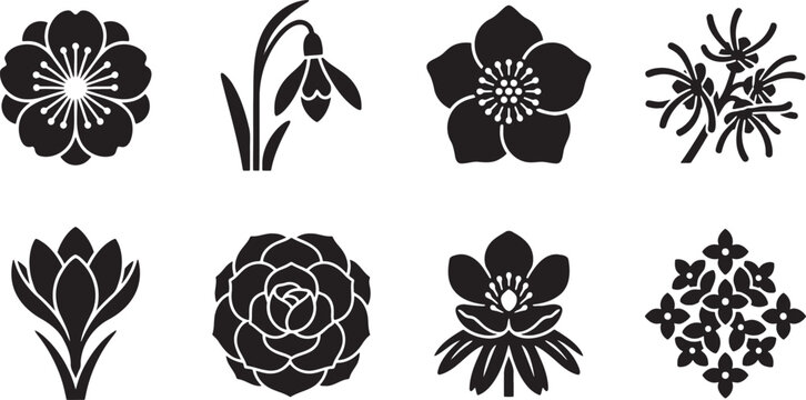 Detailed single flower heads featuring roses snowdrops and hydrangeas