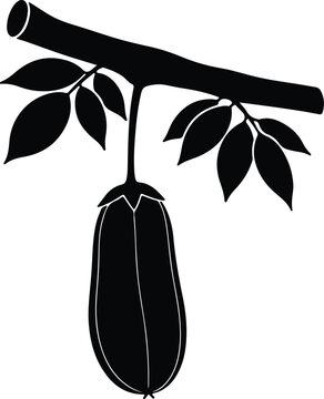 Silhouette vector of bilimbi fruit hanging on a leafy branch design