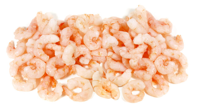 Eismeer Shrimps - Panorama