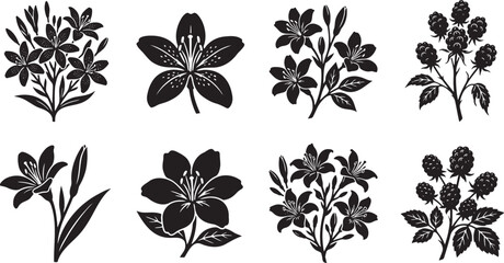 Fototapeta premium Star shaped lilies and wild blooming branch clusters graphic
