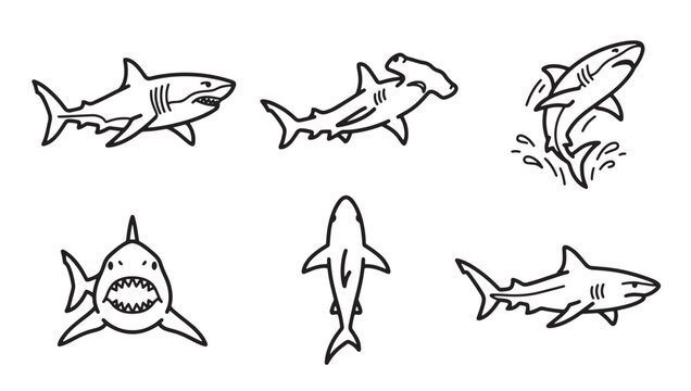 Detailed collection of shark icons illustrating different behaviors and species including biting poses with predator wildlife swimming illustration silhouette hammerhead creature collection