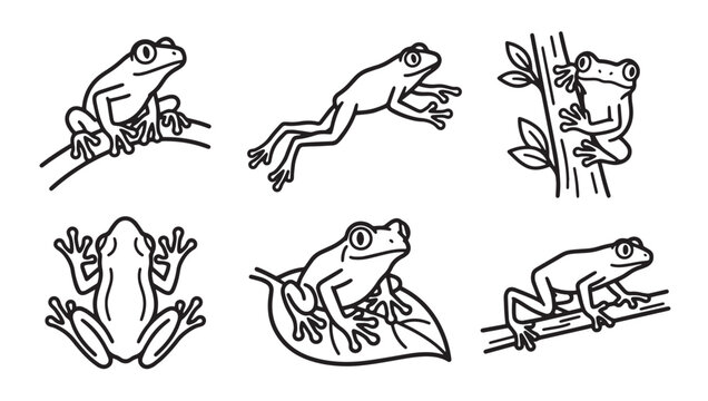 Line art collection of various frogs in multiple poses with amphibian wildlife illustration swimming climbing collection creature environment character movement