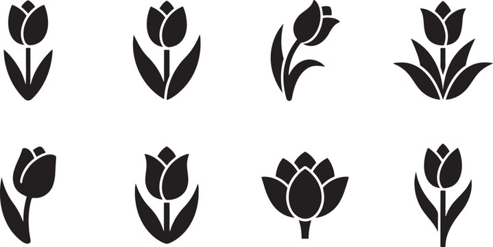 Tulip buds and single water lily blossoms silhouette pack