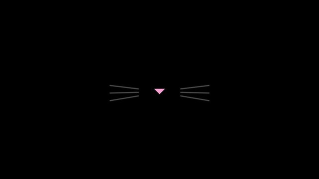 Simple 2D Animated Cat Whiskers with Pink Nose on Black Background