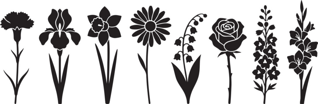 Tall vertical garden flowers carnation iris daffodil rose gladiolus silhouette