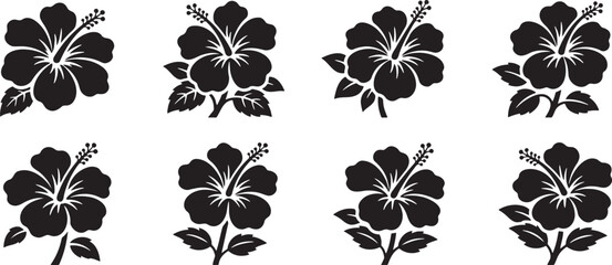 Beautiful tropical hibiscus flowers from different view angles © HM
