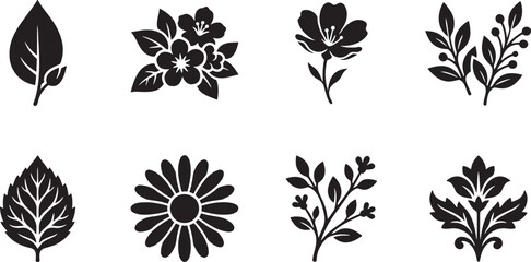 Obraz premium Separate garden leaves collection and simple daisy flower heads