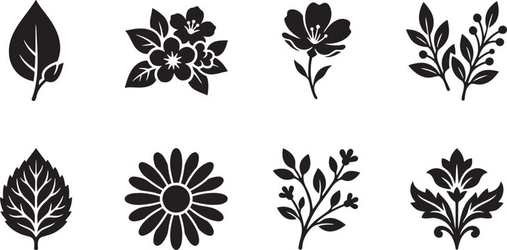 Separate garden leaves collection and simple daisy flower heads