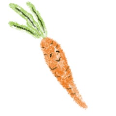 Fototapeta premium food, carrot, vegetables, beetroot, vegetarianism, dinner, lunch, healthy food, drawing, pattern, background, ornament, sticker