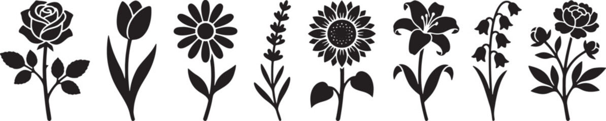 Tall slender meadow flower stems silhouette collection for wall borders © HM