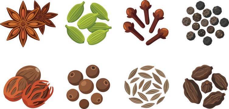 Aromatic whole spices vector collection with star anise cardamom cloves black pepper nutmeg cumin seeds