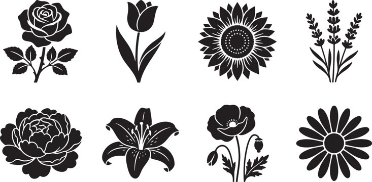 Popular domestic flower species silhouette collection for florist shops
