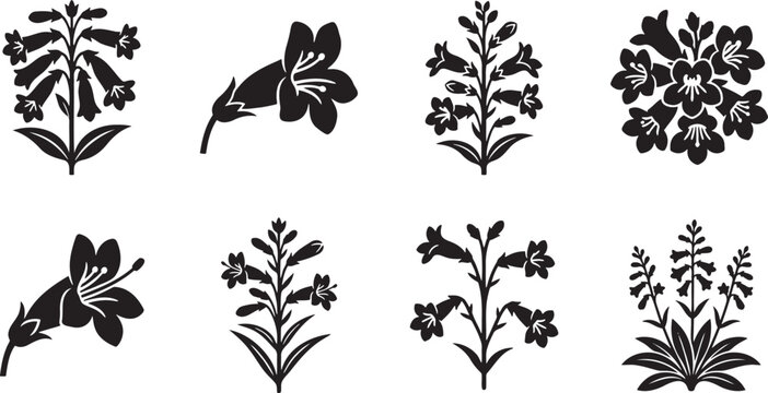 Bell shaped wildflower stems silhouette collection for forest flora guides