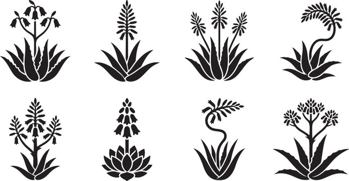 Aloe vera and succulent plant silhouette collection for desert garden designs