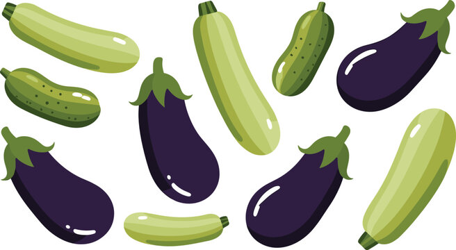 Eggplant and zucchini vector illustration collection featuring fresh purple aubergines light green squashes and crispy cucumbers for healthy vegan food designs