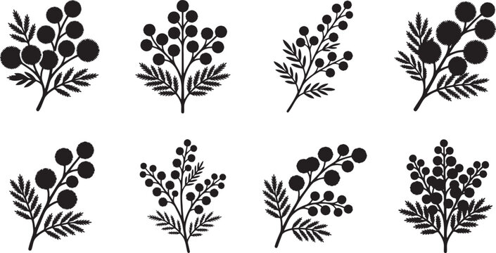 Berry branches and mistletoe sprigs silhouette collection for winter holidays