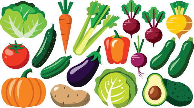 Vegetable ingredients vector illustration collection featuring lettuce cabbage pumpkin tomato carrot celery eggplant pepper beet potato and avocado for healthy recipes