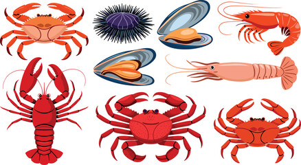 Shellfish and crustacean vector illustration collection featuring red lobsters varieties of crabs sea urchin fresh shrimp prawns and open mussel shells © IVY QUEEN