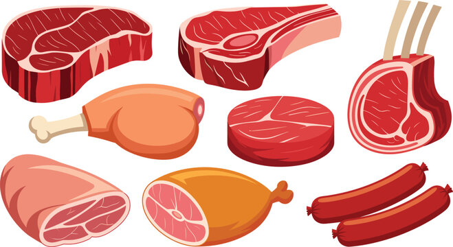 Meat cuts vector illustration collection featuring fresh raw beef steak lamb chop ham pork knuckle and sausages for butcher shop marketing design