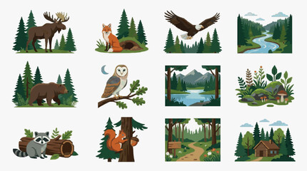 Elegant Forest Wildlife and Scenic Landscapes Set with Moose Eagle Bear Owl Raccoon Squirrel and Cabin © Bek