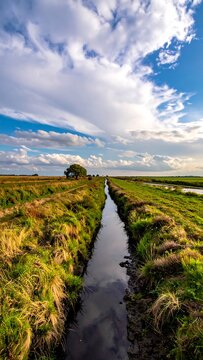 River Flowing To Horizon.