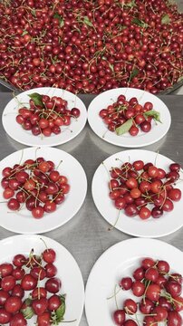 Fresh ripe red cherries beautifully presented on a plate
