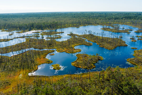Aerial View of Cenas Bog Wetland with Lakes and Peatland Landscape in Latvia